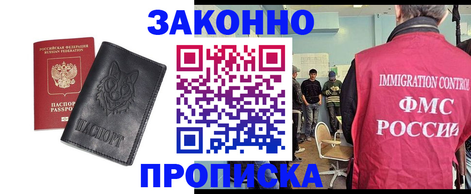 где прописаться в Ельне