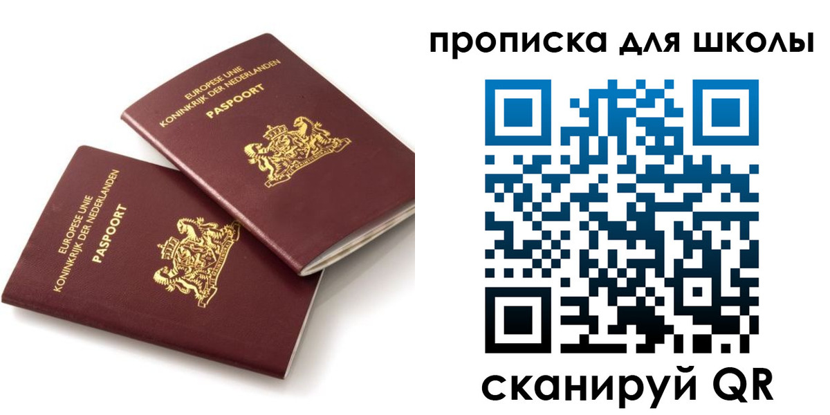 где прописаться в Ельне
