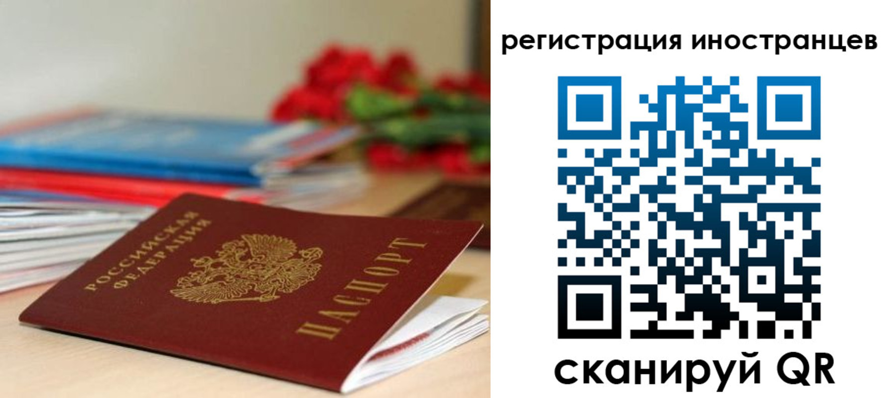 форма 3 в Ельне